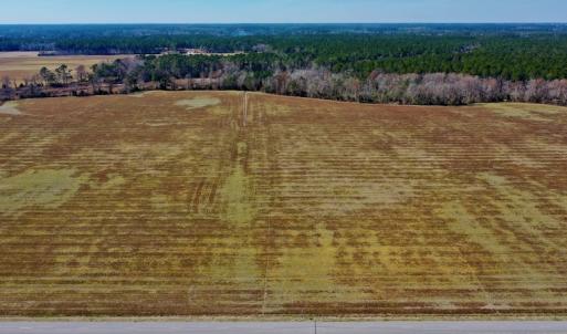 Photo #7 of Off Lee Farm Road, Oriental, NC 74.5 acres