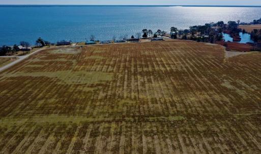 Photo #9 of Off Lee Farm Road, Oriental, NC 74.5 acres
