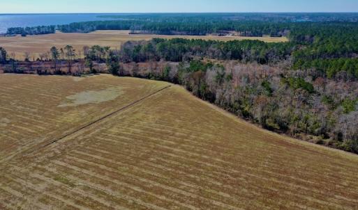 Photo #10 of Off Lee Farm Road, Oriental, NC 74.5 acres