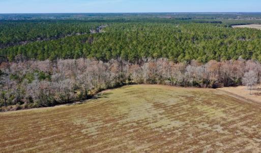 Photo #11 of Off Lee Farm Road, Oriental, NC 74.5 acres