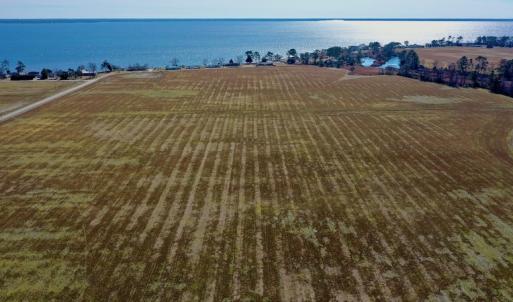Photo #12 of Off Lee Farm Road, Oriental, NC 74.5 acres