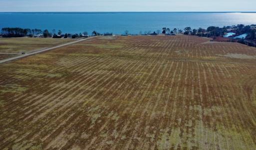 Photo #13 of Off Lee Farm Road, Oriental, NC 74.5 acres