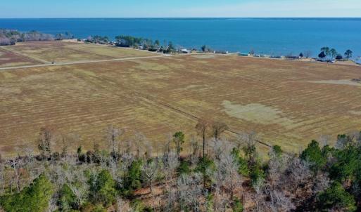 Photo #16 of Off Lee Farm Road, Oriental, NC 74.5 acres