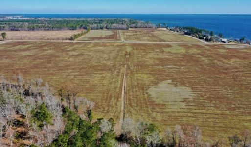 Photo #19 of Off Lee Farm Road, Oriental, NC 74.5 acres