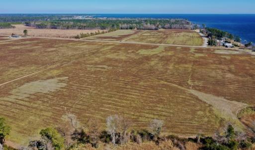 Photo #20 of Off Lee Farm Road, Oriental, NC 74.5 acres