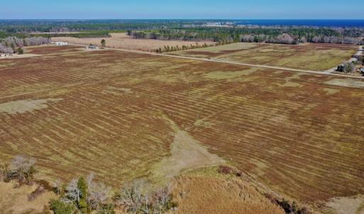 Photo #21 of Off Lee Farm Road, Oriental, NC 74.5 acres