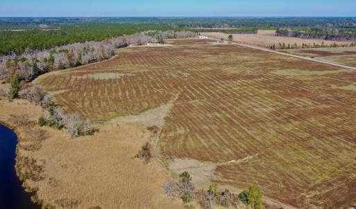 Photo #22 of Off Lee Farm Road, Oriental, NC 74.5 acres