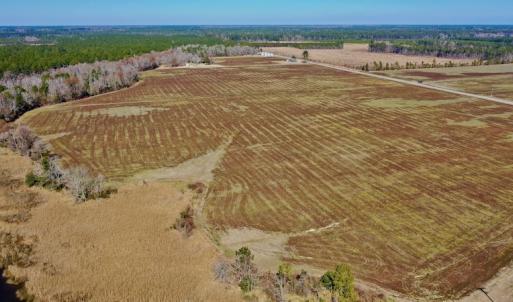 Photo #23 of Off Lee Farm Road, Oriental, NC 74.5 acres