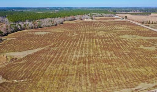Photo #24 of Off Lee Farm Road, Oriental, NC 74.5 acres
