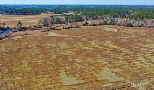 Photo #26 of Off Lee Farm Road, Oriental, NC 74.5 acres