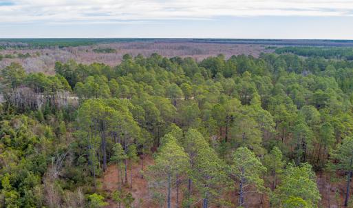 Photo #10 of SOLD property in Off Bivens Bridge Road, Elizabethtown, NC 2.0 acres