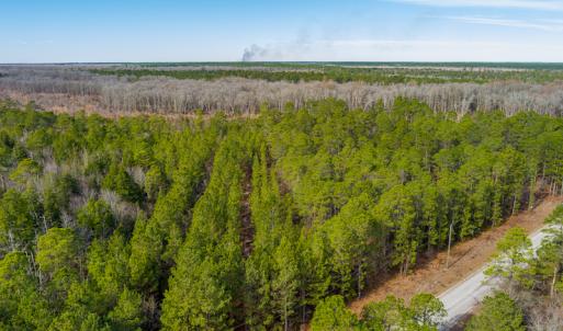 Photo #11 of SOLD property in Off Bivens Bridge Road, Elizabethtown, NC 2.0 acres