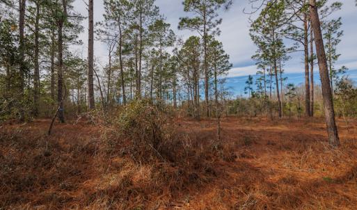 Photo #13 of SOLD property in Off Bivens Bridge Road, Elizabethtown, NC 2.0 acres