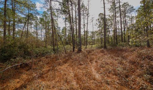 Photo #14 of SOLD property in Off Bivens Bridge Road, Elizabethtown, NC 2.0 acres