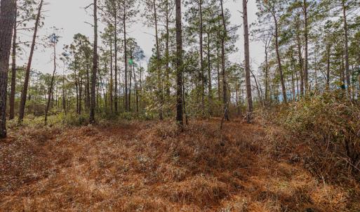 Photo #15 of SOLD property in Off Bivens Bridge Road, Elizabethtown, NC 2.0 acres