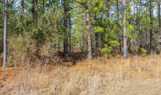 Photo #19 of SOLD property in Off Bivens Bridge Road, Elizabethtown, NC 2.0 acres