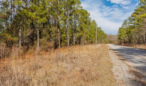 Photo #20 of SOLD property in Off Bivens Bridge Road, Elizabethtown, NC 2.0 acres