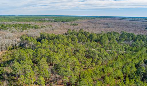 Photo #6 of SOLD property in Off Bivens Bridge Road, Elizabethtown, NC 2.0 acres