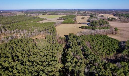 Photo #11 of SOLD property in Off Pleasant Hill Road, Rocky Mount, NC 145.0 acres