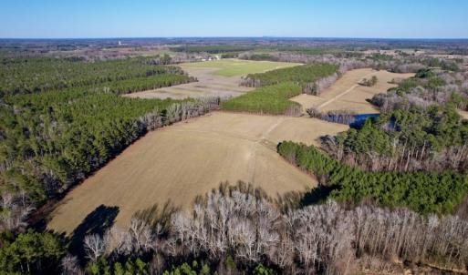 Photo #13 of SOLD property in Off Pleasant Hill Road, Rocky Mount, NC 145.0 acres