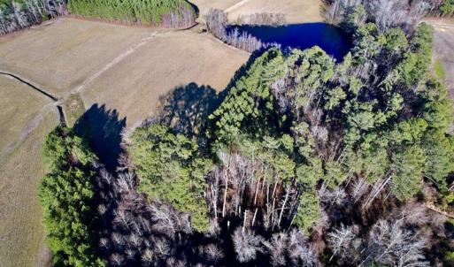 Photo #15 of SOLD property in Off Pleasant Hill Road, Rocky Mount, NC 145.0 acres