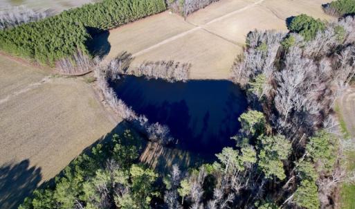 Photo #16 of SOLD property in Off Pleasant Hill Road, Rocky Mount, NC 145.0 acres