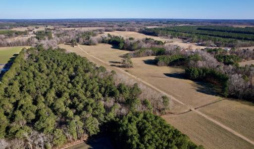 Photo #3 of SOLD property in Off Pleasant Hill Road, Rocky Mount, NC 145.0 acres