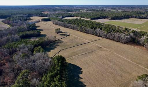 Photo #24 of SOLD property in Off Pleasant Hill Road, Rocky Mount, NC 145.0 acres