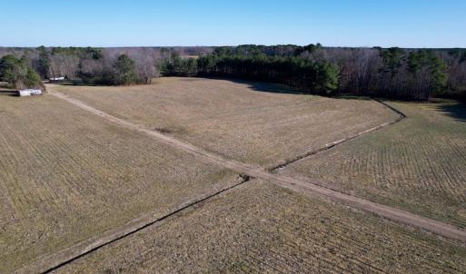 Photo #30 of SOLD property in Off Pleasant Hill Road, Rocky Mount, NC 145.0 acres