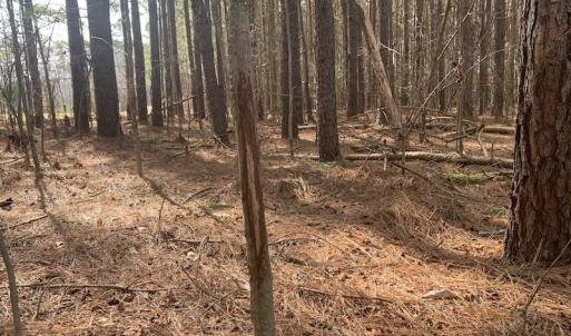 Photo #31 of SOLD property in Off Pleasant Hill Road, Rocky Mount, NC 145.0 acres
