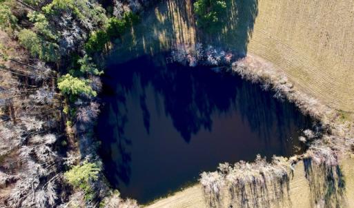 Photo #33 of SOLD property in Off Pleasant Hill Road, Rocky Mount, NC 145.0 acres