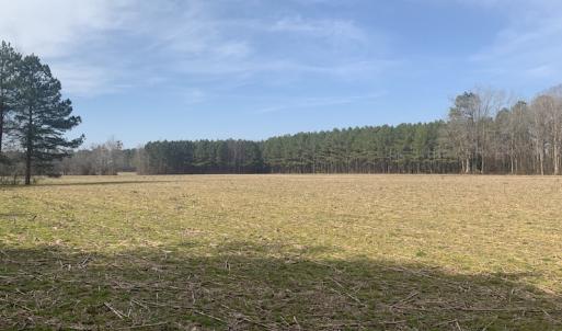 Photo #36 of SOLD property in Off Pleasant Hill Road, Rocky Mount, NC 145.0 acres