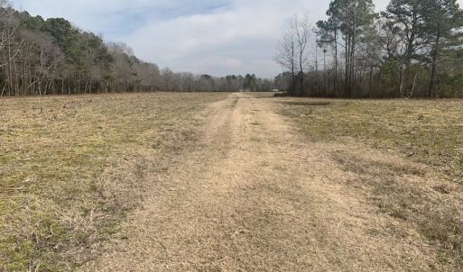 Photo #37 of SOLD property in Off Pleasant Hill Road, Rocky Mount, NC 145.0 acres
