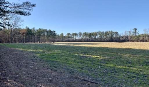 Photo #38 of SOLD property in Off Pleasant Hill Road, Rocky Mount, NC 145.0 acres