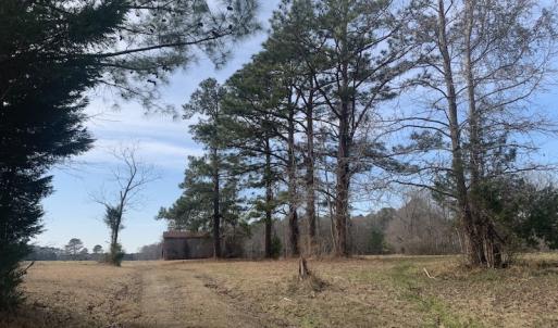 Photo #39 of SOLD property in Off Pleasant Hill Road, Rocky Mount, NC 145.0 acres