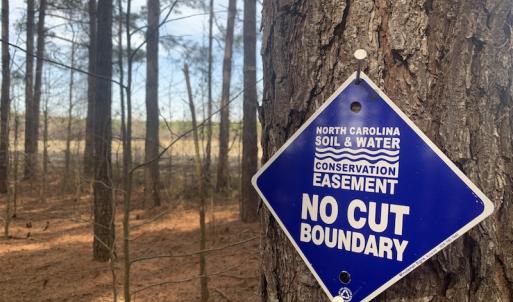 Photo #41 of SOLD property in Off Pleasant Hill Road, Rocky Mount, NC 145.0 acres