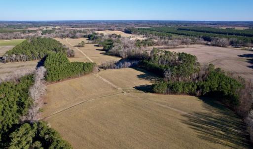 Photo #7 of SOLD property in Off Pleasant Hill Road, Rocky Mount, NC 145.0 acres