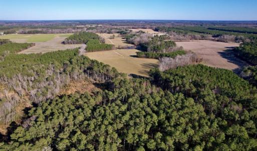 Photo #9 of SOLD property in Off Pleasant Hill Road, Rocky Mount, NC 145.0 acres