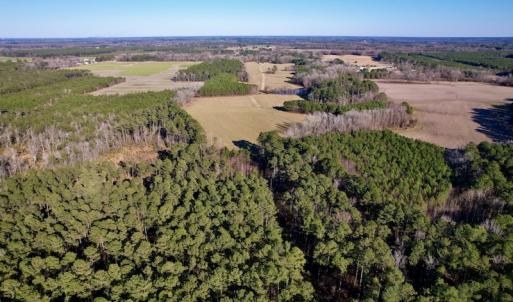 Photo #10 of SOLD property in Off Pleasant Hill Road, Rocky Mount, NC 145.0 acres