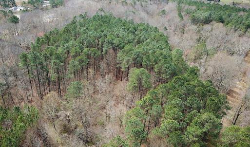 Photo #3 of SOLD property in Off Oak Tree Lane, Isle Of Wight, VA 11.0 acres