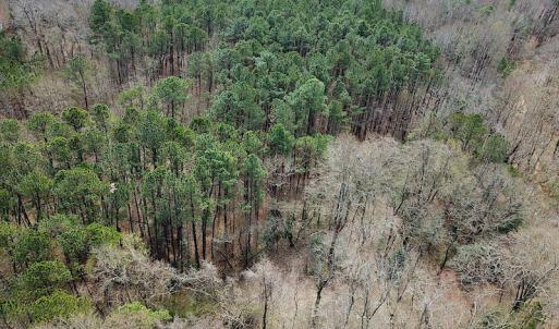 Photo #4 of SOLD property in Off Oak Tree Lane, Isle Of Wight, VA 11.0 acres