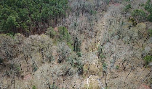 Photo #5 of SOLD property in Off Oak Tree Lane, Isle Of Wight, VA 11.0 acres