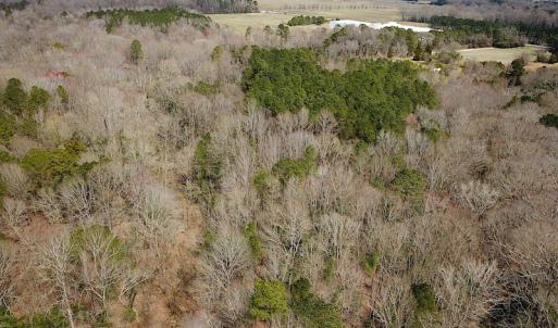 Photo #7 of SOLD property in Off Oak Tree Lane, Isle Of Wight, VA 11.0 acres