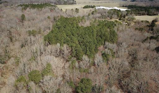 Photo #8 of SOLD property in Off Oak Tree Lane, Isle Of Wight, VA 11.0 acres