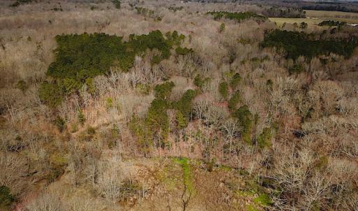 Photo #10 of SOLD property in Off Oak Tree Lane, Isle Of Wight, VA 11.0 acres