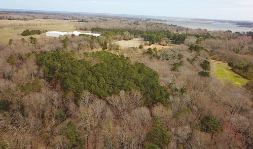 Photo #11 of SOLD property in Off Oak Tree Lane, Isle Of Wight, VA 11.0 acres