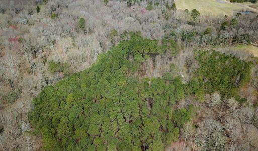 Photo #12 of SOLD property in Off Oak Tree Lane, Isle Of Wight, VA 11.0 acres