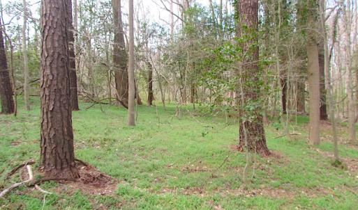 Photo #13 of SOLD property in Off Oak Tree Lane, Isle Of Wight, VA 11.0 acres