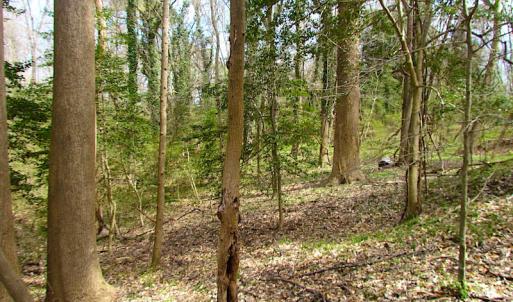 Photo #14 of SOLD property in Off Oak Tree Lane, Isle Of Wight, VA 11.0 acres