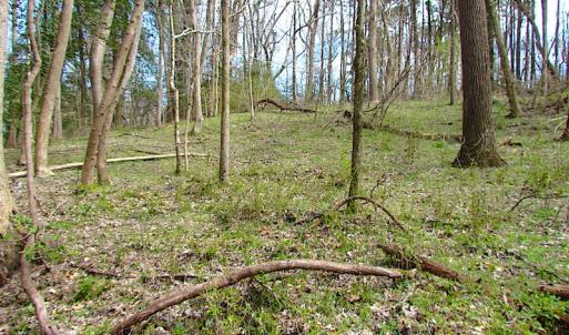 Photo #16 of SOLD property in Off Oak Tree Lane, Isle Of Wight, VA 11.0 acres